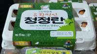 유황먹인 청정란 15구