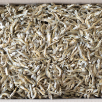 [국내산] 지가이리 멸치 1.5kg